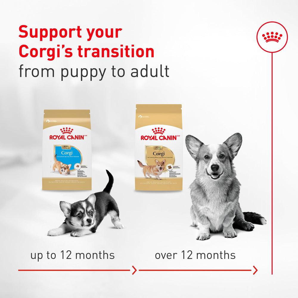 Royal Canin Corgi Adult digestive health with prebiotics and easily digestible proteins