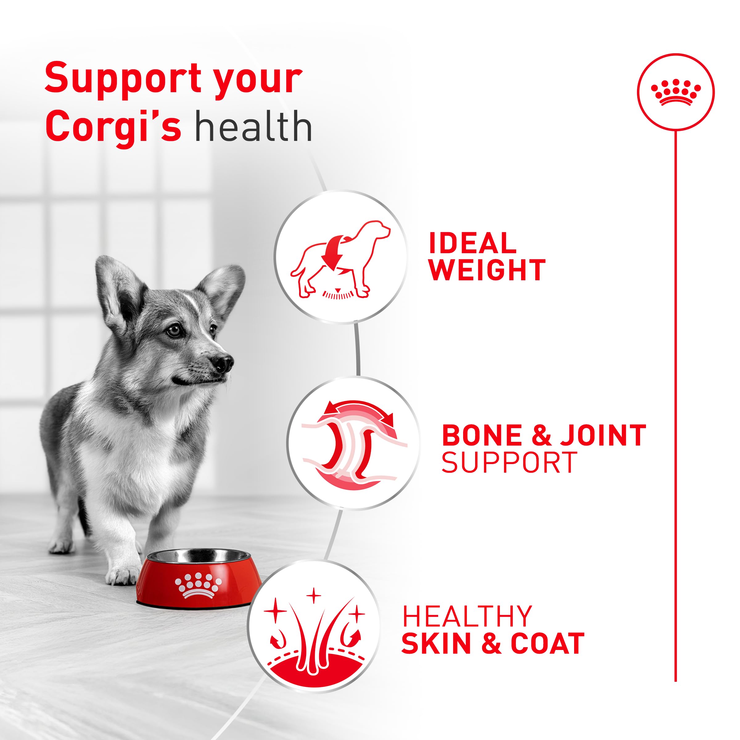 Royal Canin Corgi Adult kibble close-up highlighting breed-tailored shape