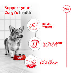 Royal Canin Corgi Adult kibble close-up highlighting breed-tailored shape