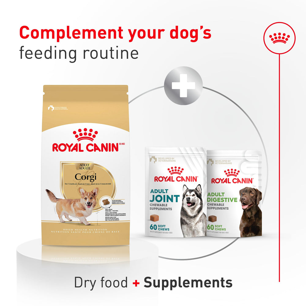 Royal Canin Corgi Adult kibble design slows intake and encourages chewing