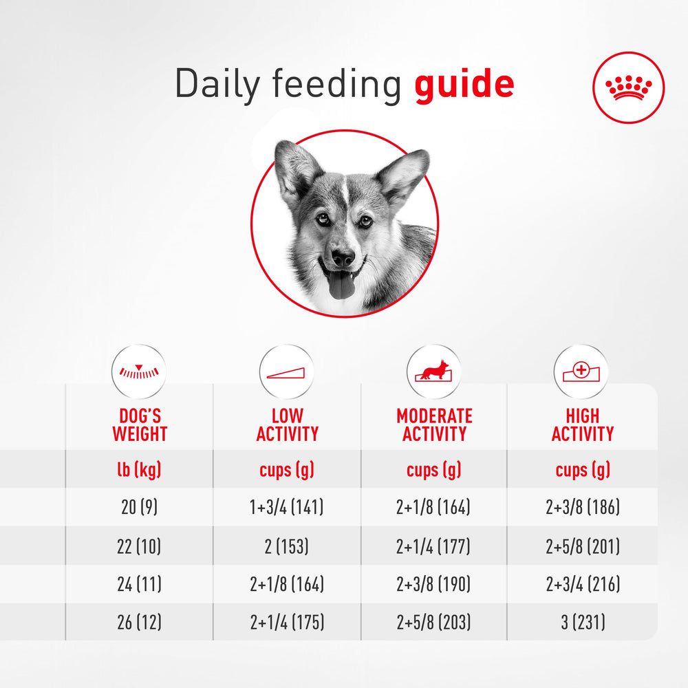 Royal Canin Corgi Adult prebiotics and fiber blend for balanced gut health