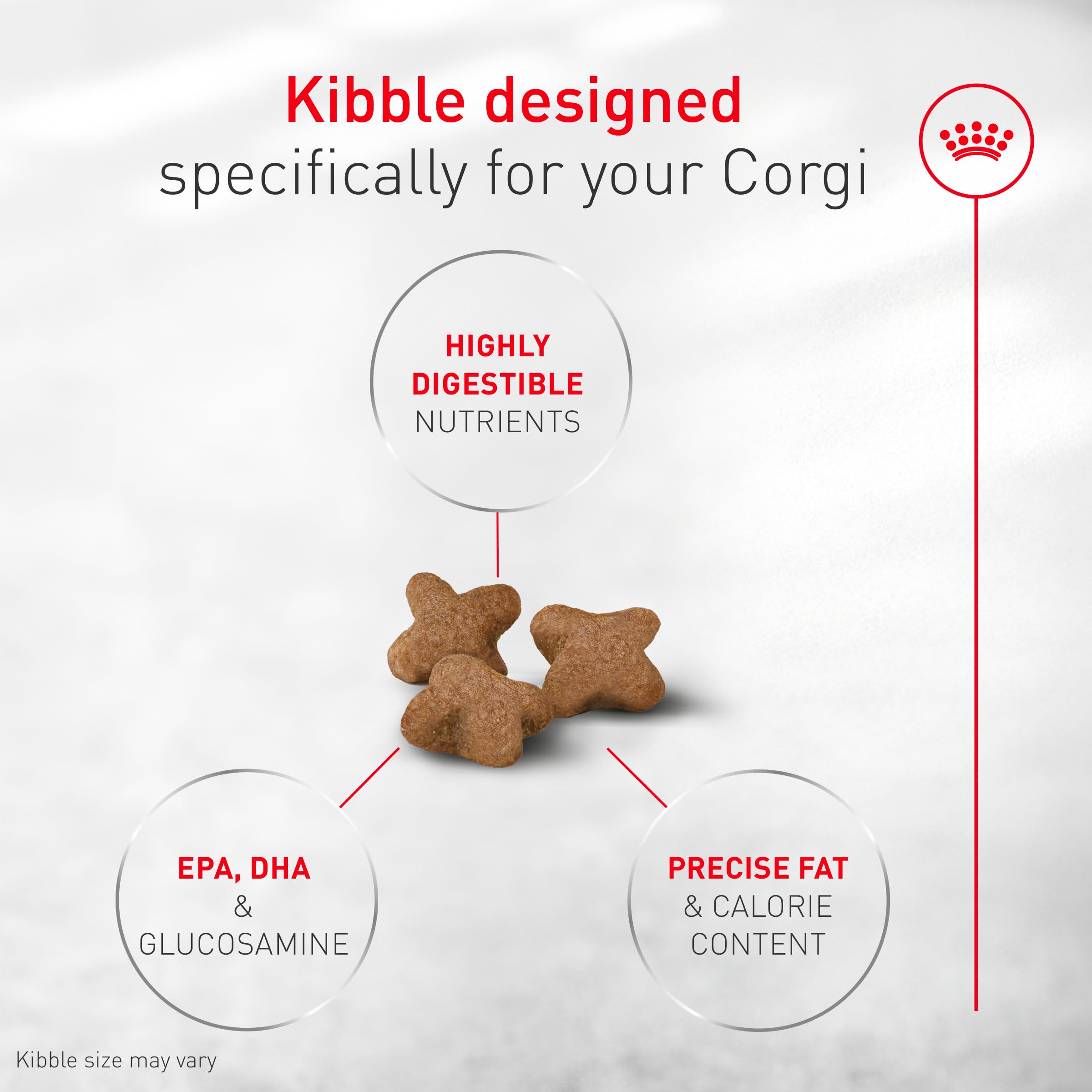 Royal Canin Corgi Adult coat nourishment with GLA, EPA and DHA