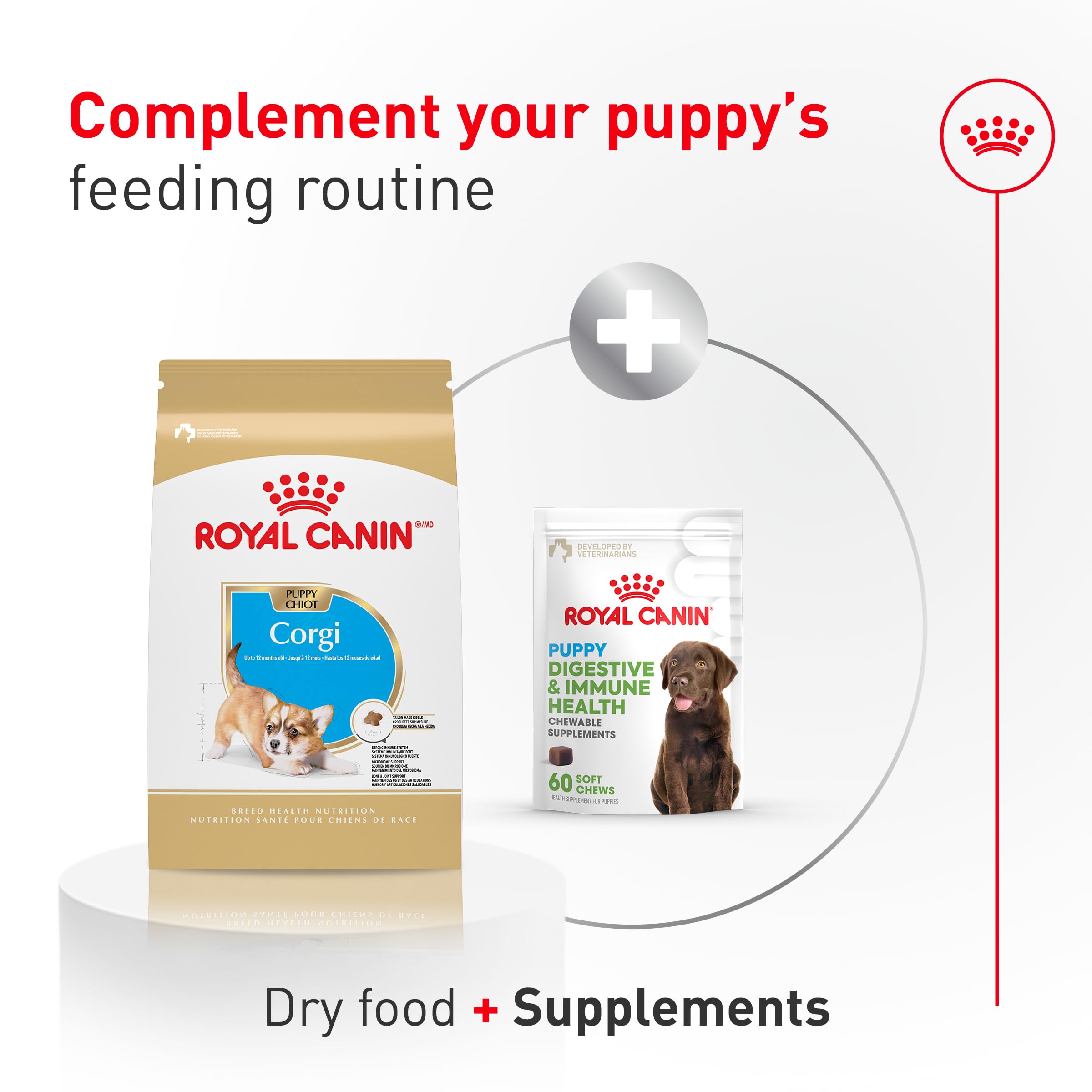 Kibble being poured into a bowl, convenient for mixing with wet food options.