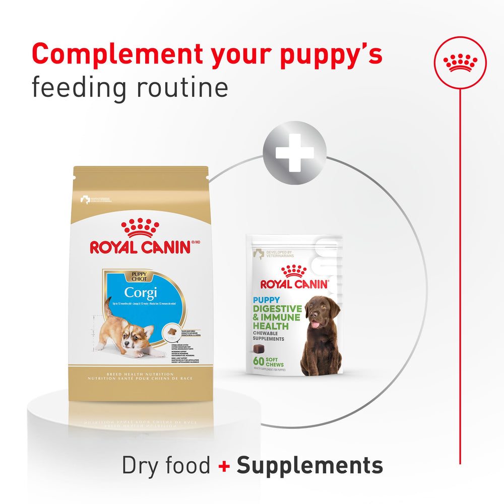 Kibble being poured into a bowl, convenient for mixing with wet food options.