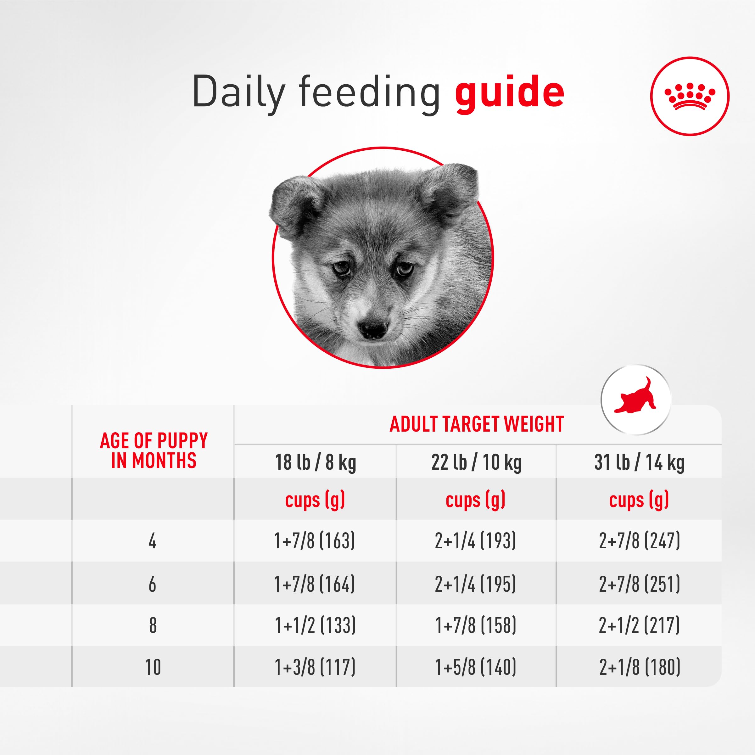 Back of Royal Canin Corgi Puppy packaging illustrating ingredients for joints and immunity.