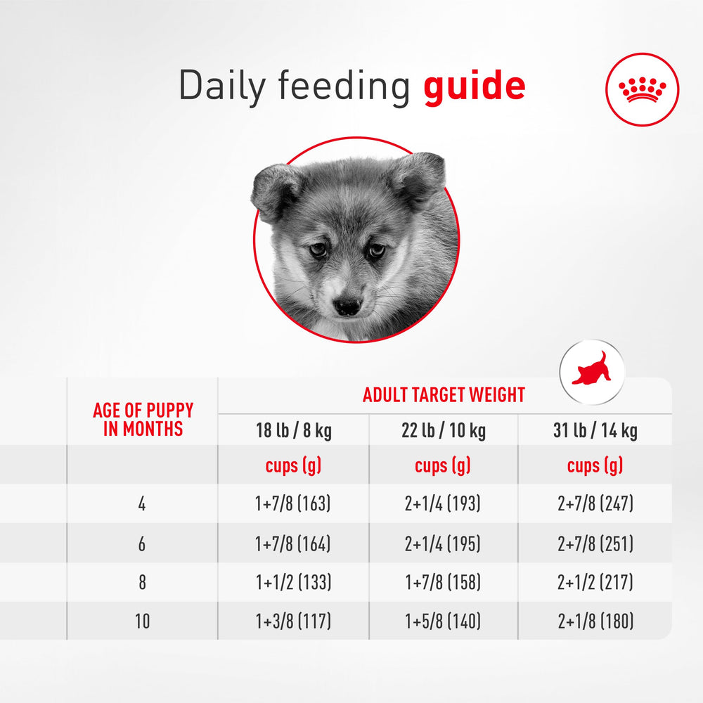 Back of Royal Canin Corgi Puppy packaging illustrating ingredients for joints and immunity.