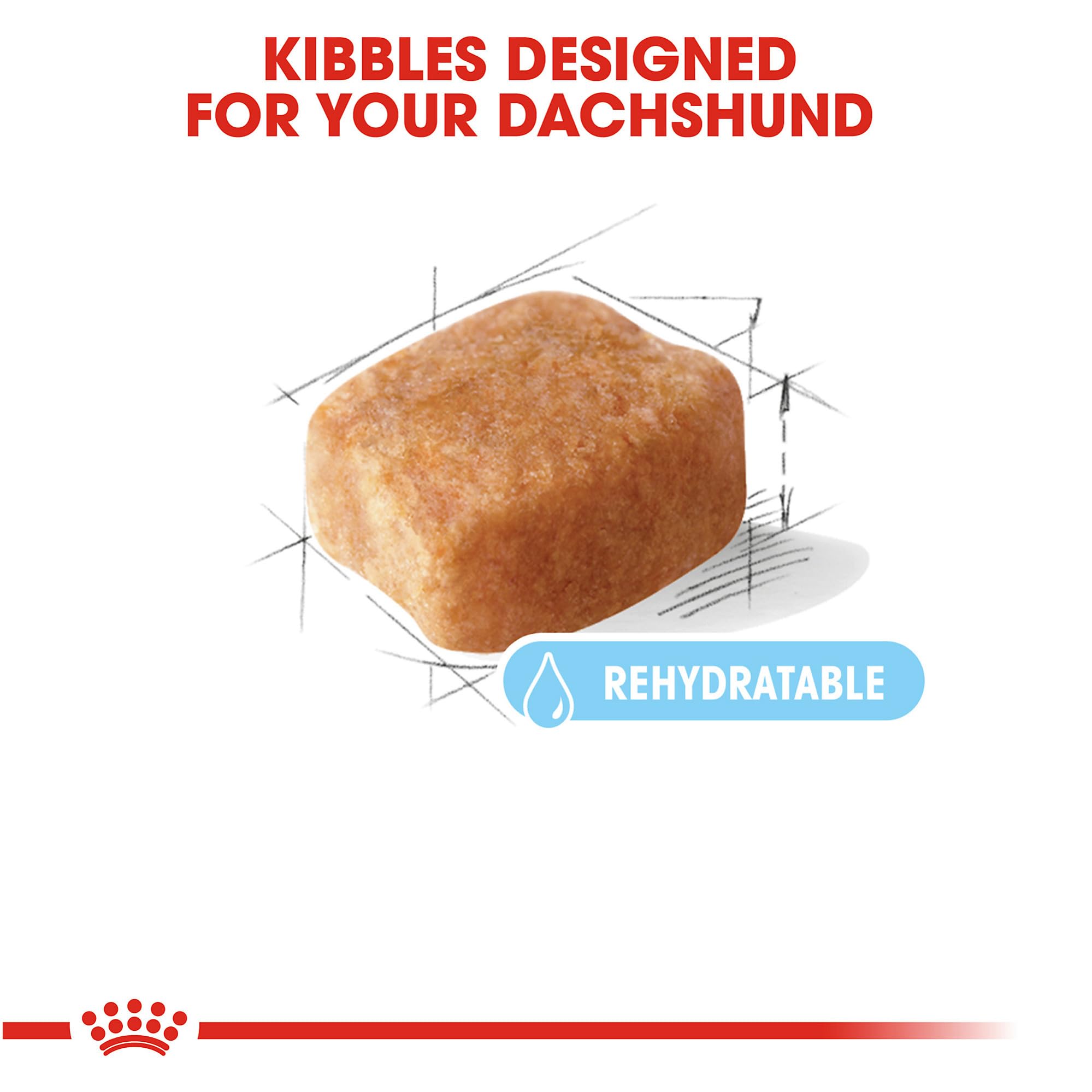 Royal Canin Dachshund senior kibble closeup, tailored texture for aging teeth.