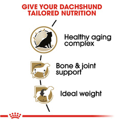 Royal Canin Dachshund 8+ senior kibble softened with warm water for easy chewing.