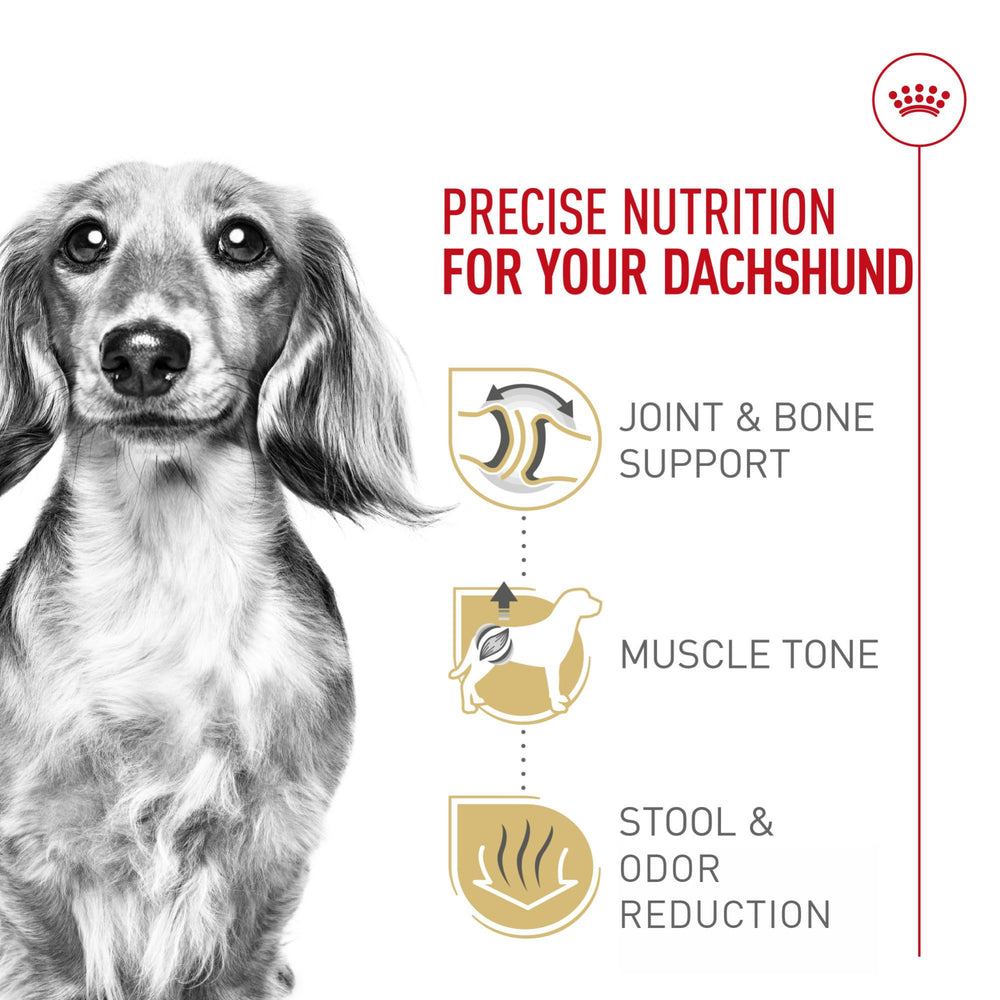 Royal Canin Dachshund Adult kibble emphasizes bone and joint support for small dogs.