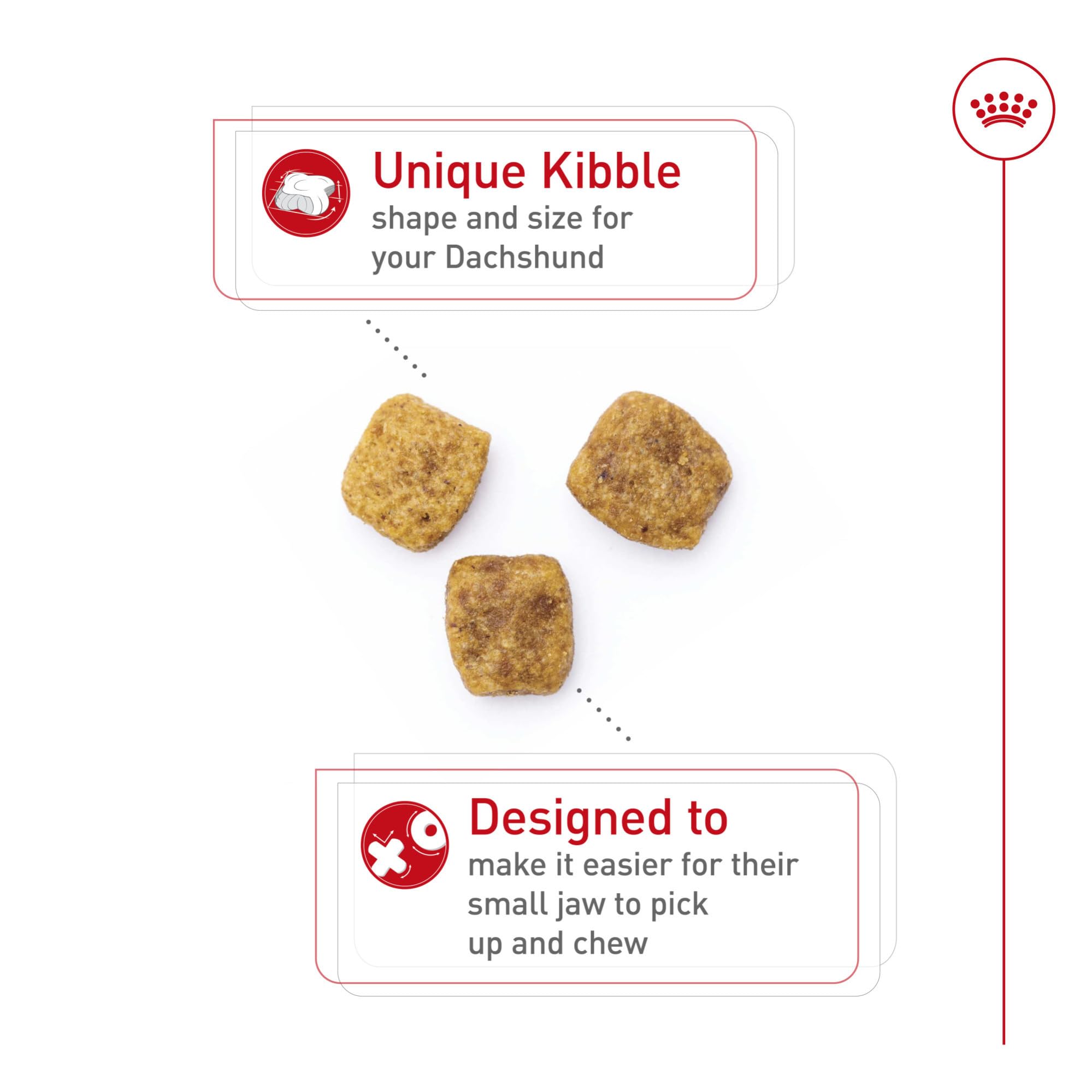 Close-up of Royal Canin Dachshund Adult breed-specific kibble designed for easy chewing.