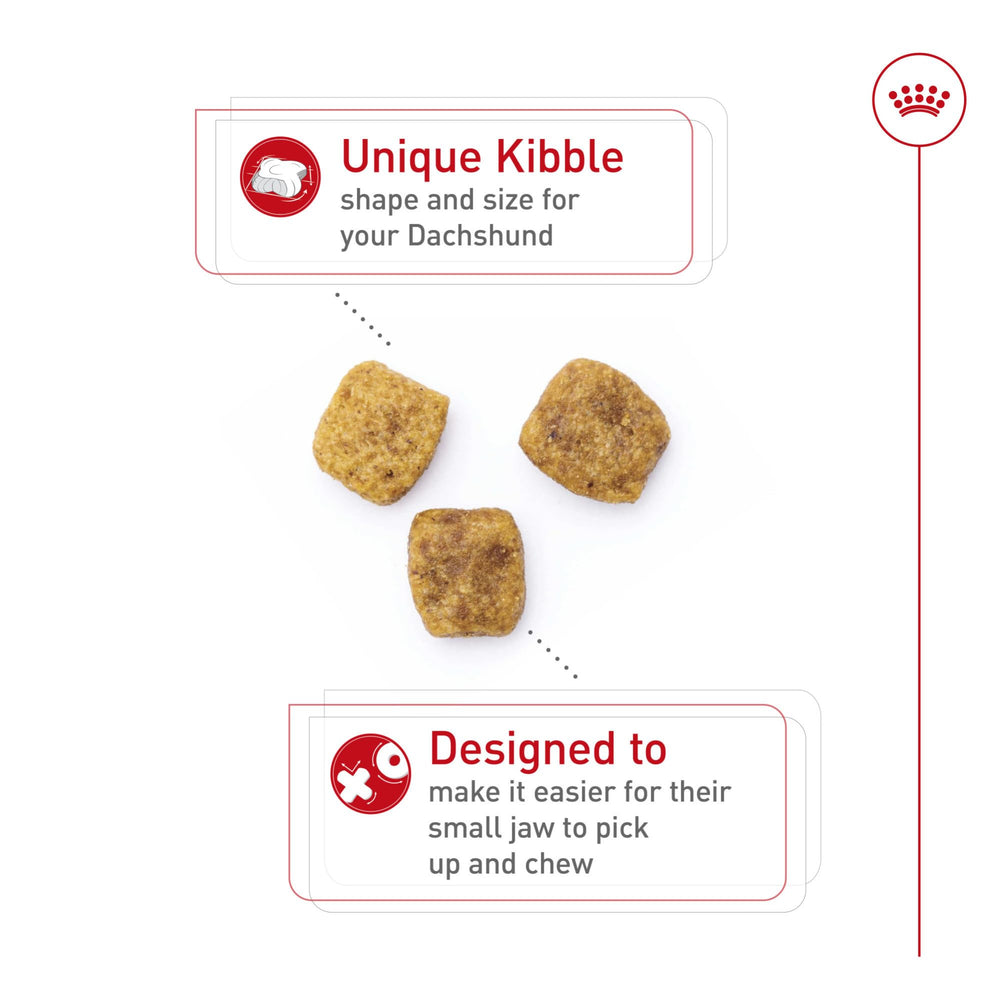 Close-up of Royal Canin Dachshund Adult breed-specific kibble designed for easy chewing.