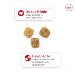 Close-up of Royal Canin Dachshund Adult breed-specific kibble designed for easy chewing.