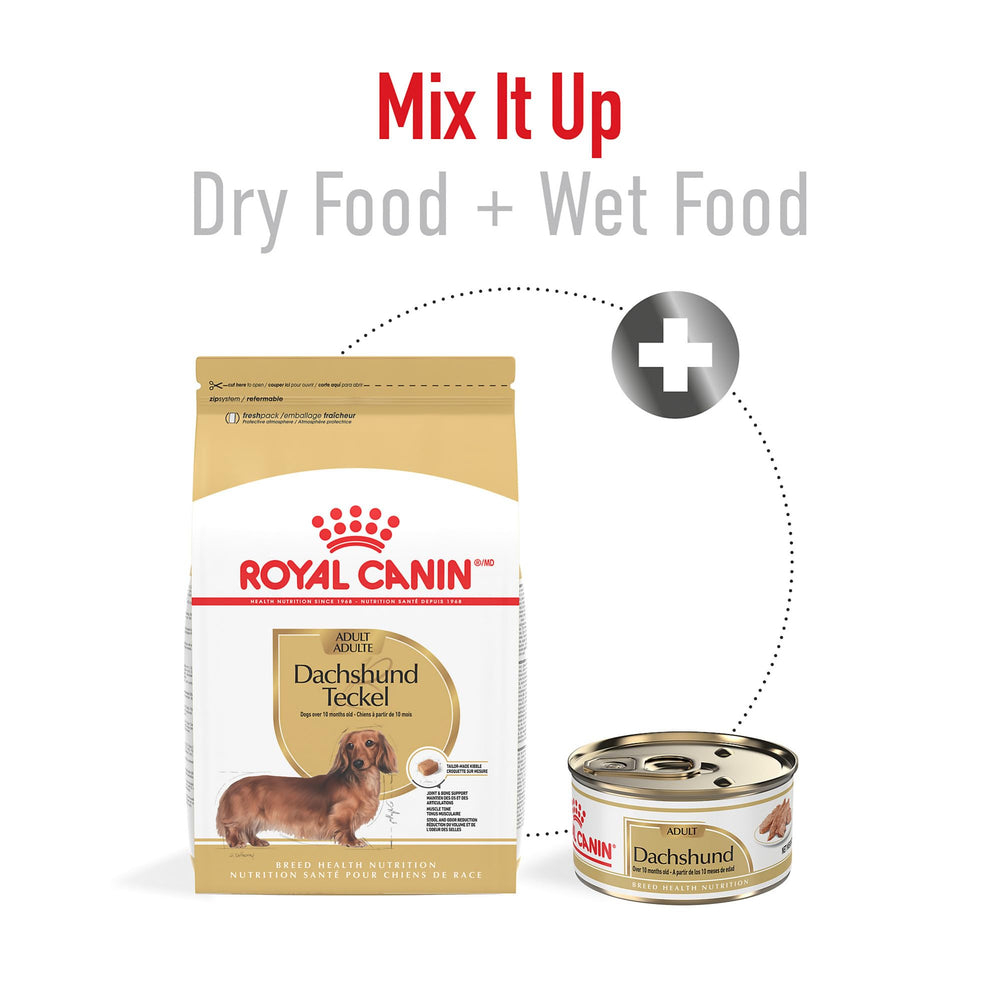 Royal Canin Dachshund Adult digestive health formula promotes comfortable digestion.