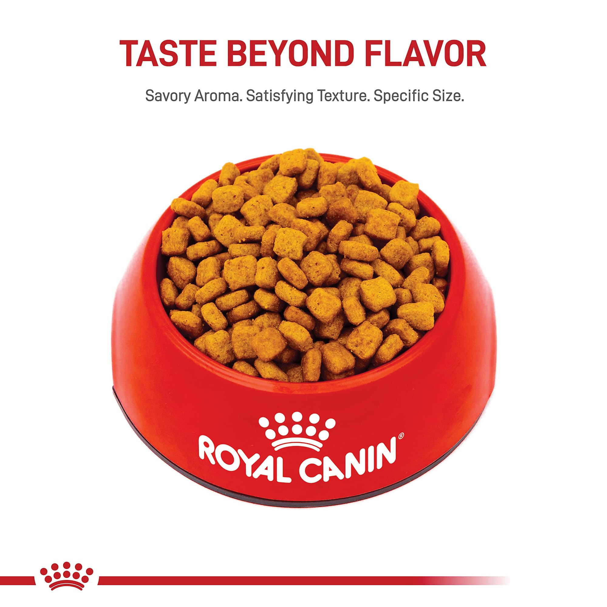 Royal Canin Dachshund Adult energy-balanced nutrition helps maintain ideal weight.