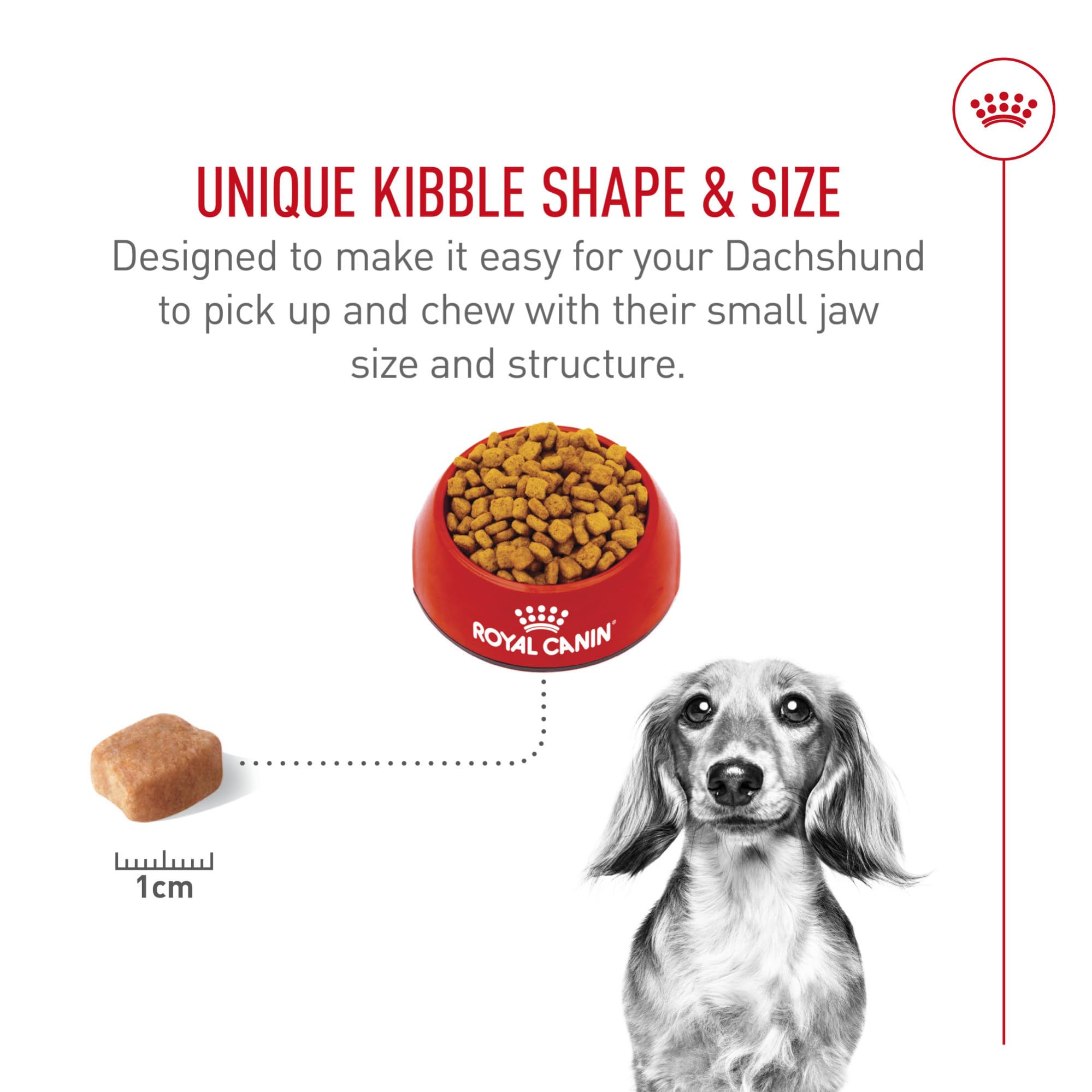 Royal Canin Dachshund Adult protein-focused formula supports muscle tone in small breeds.