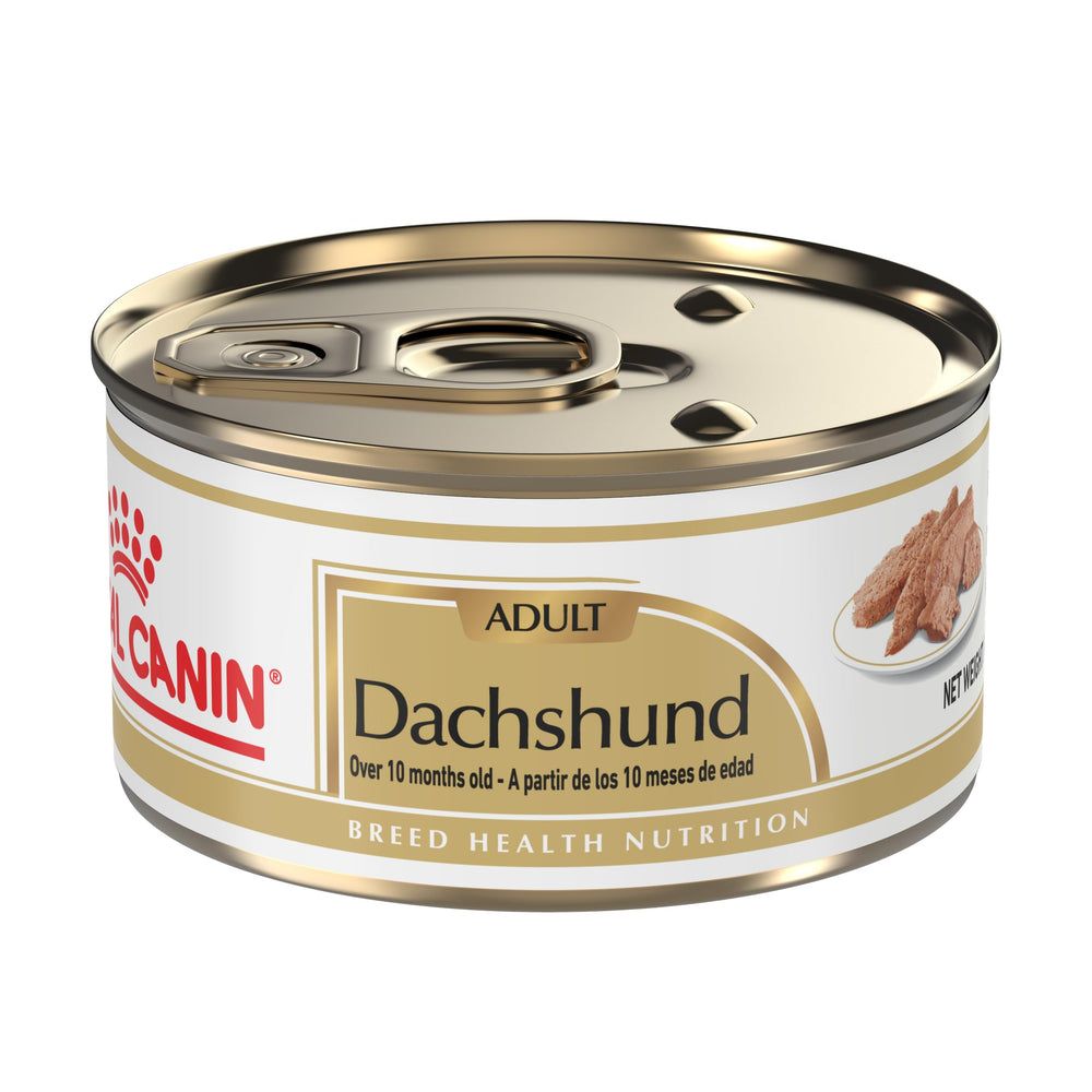 Royal Canin Dachshund Loaf in Sauce shown in a bowl, inviting texture and palatability.