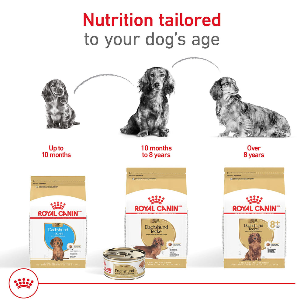 Nutritional panel detail suggests protein and joint-support nutrients for daily care.