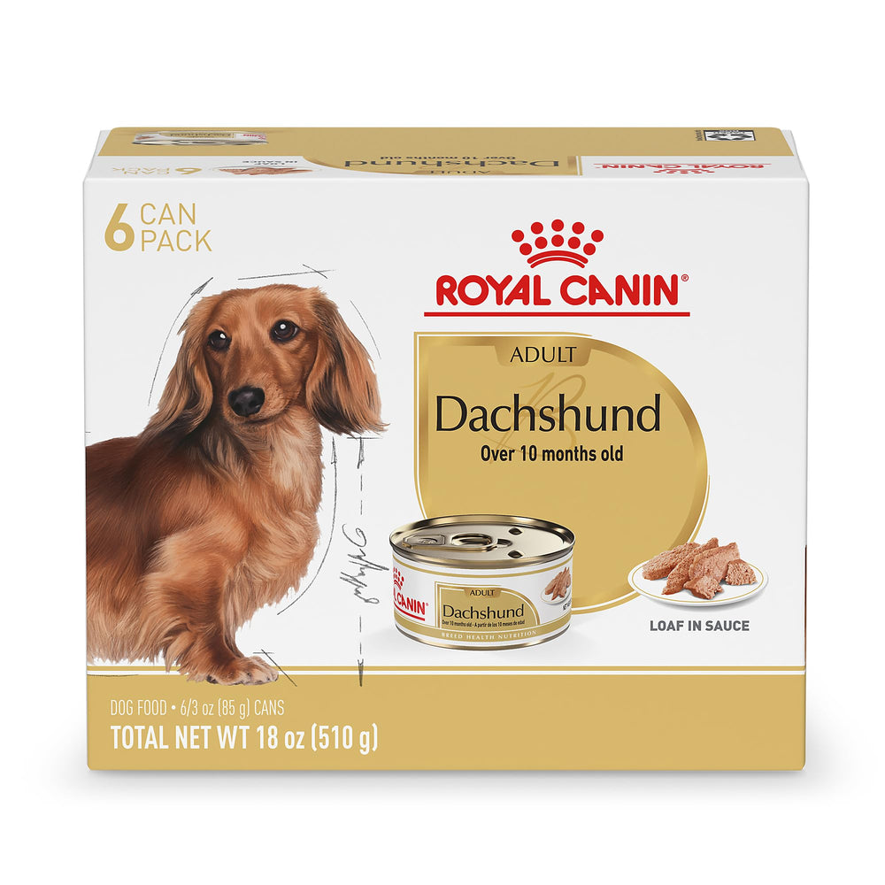 Royal Canin Dachshund loaf in sauce can front highlights breed-specific nutrition