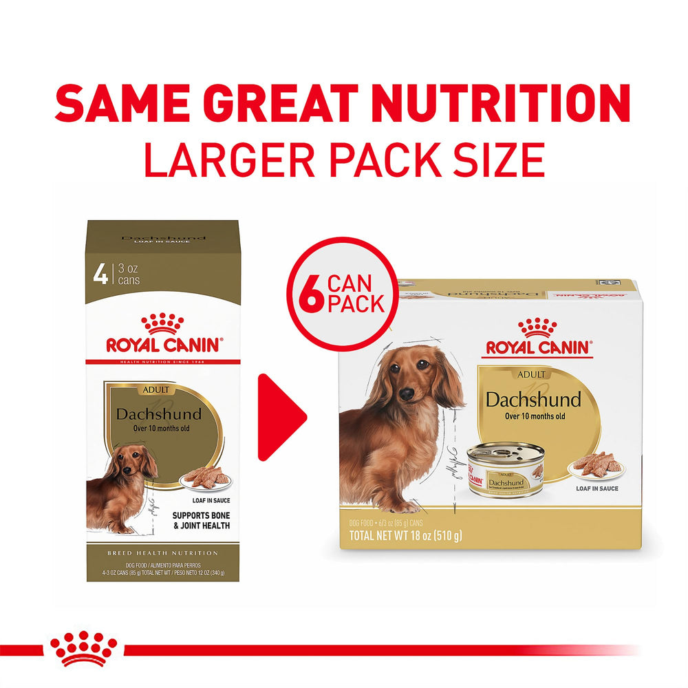 Royal Canin Dachshund loaf in sauce can side shows convenient wet food format