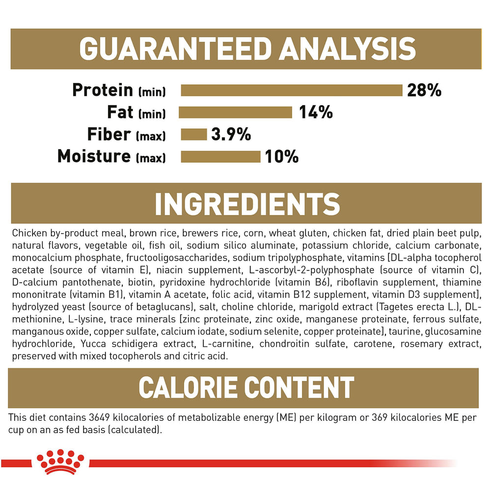 Royal Canin Dachshund Puppy transition guidance to adult nutrition.