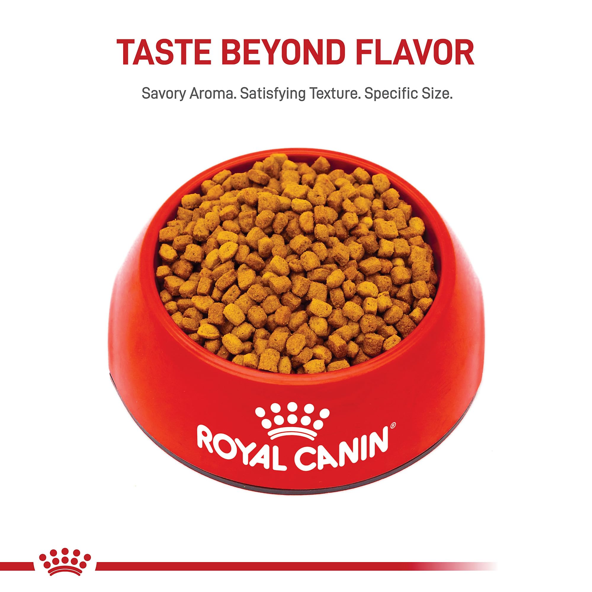 Royal Canin Dachshund Puppy bone and joint development emphasis.