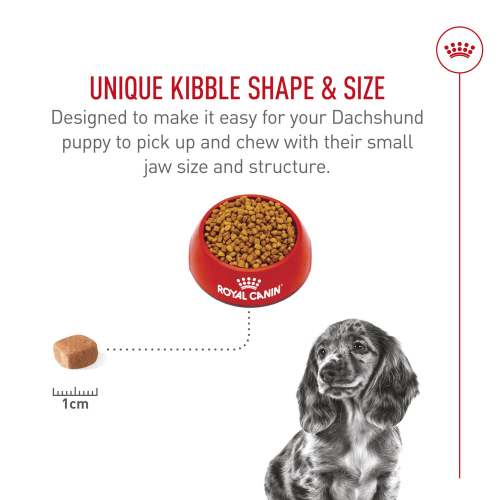 Royal Canin Dachshund Puppy calcium and phosphorus for bones.