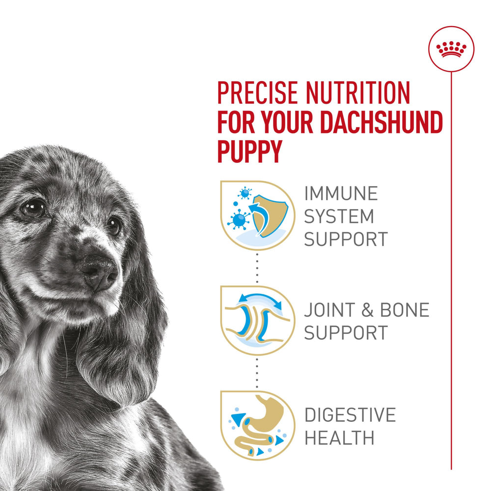 Royal Canin Dachshund Puppy antioxidants support immunity development.