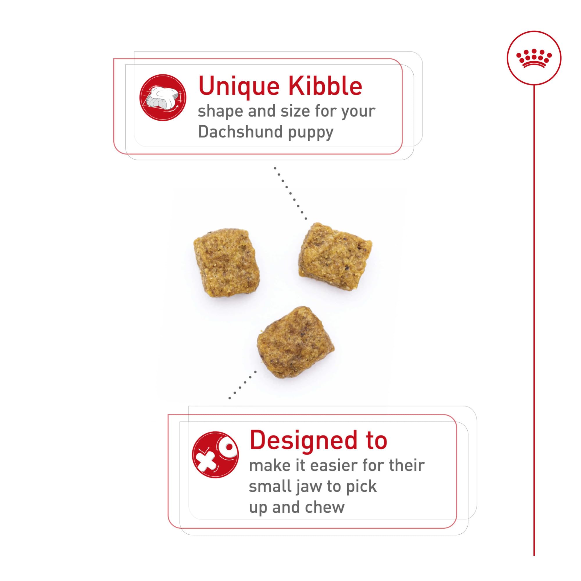 Royal Canin Dachshund Puppy kibble shape designed for tiny jaws.