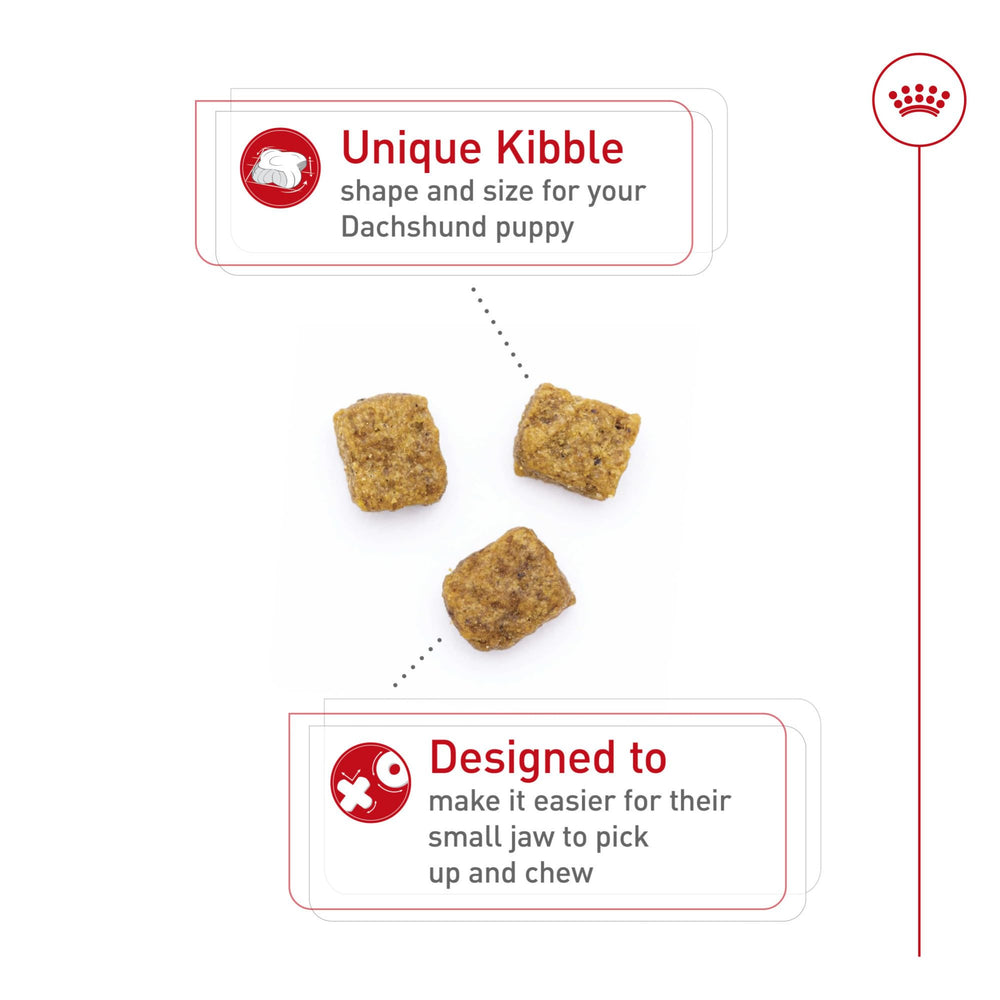 Royal Canin Dachshund Puppy kibble shape designed for tiny jaws.