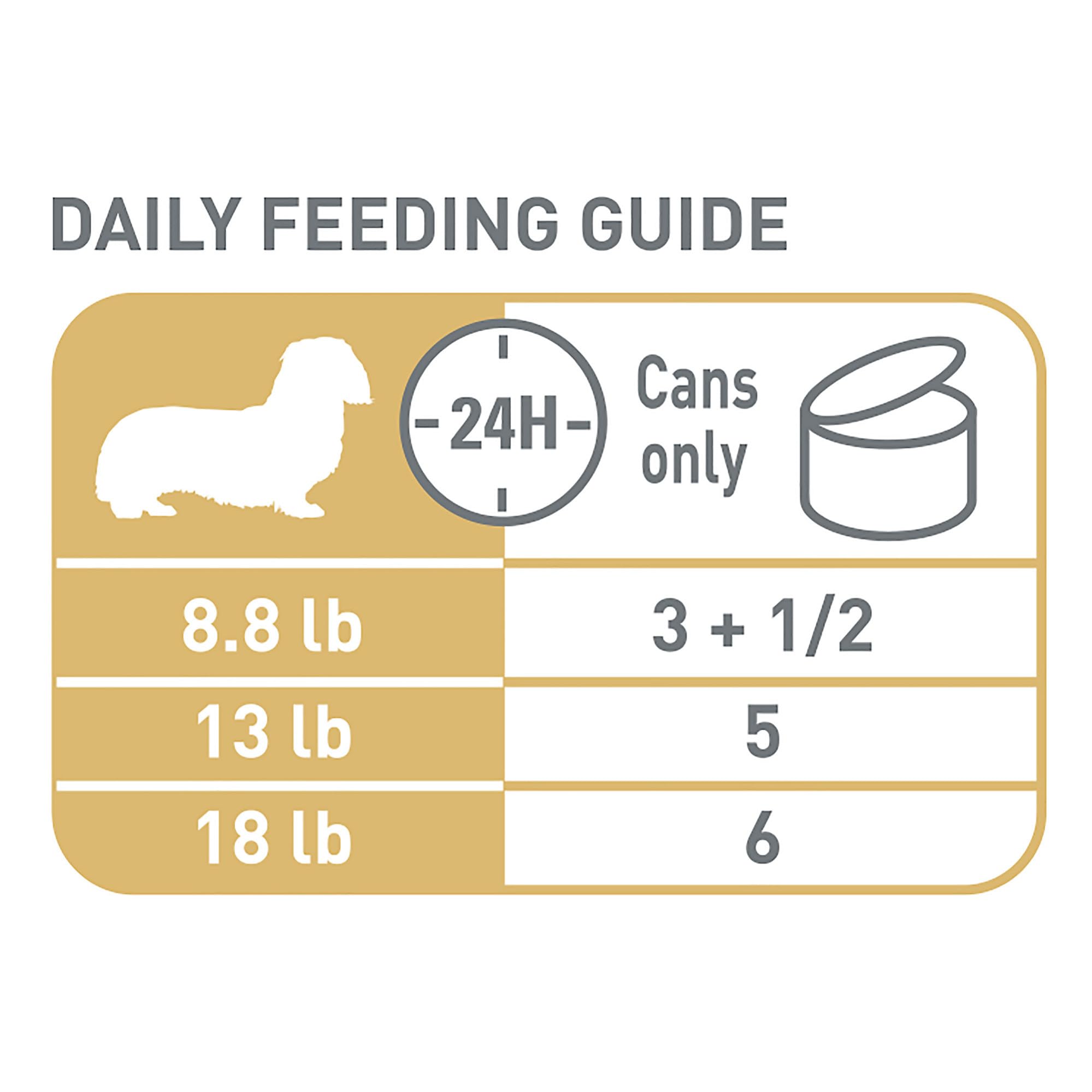 Royal Canin Dachshund serving suggestion in a bowl fosters mealtime routine