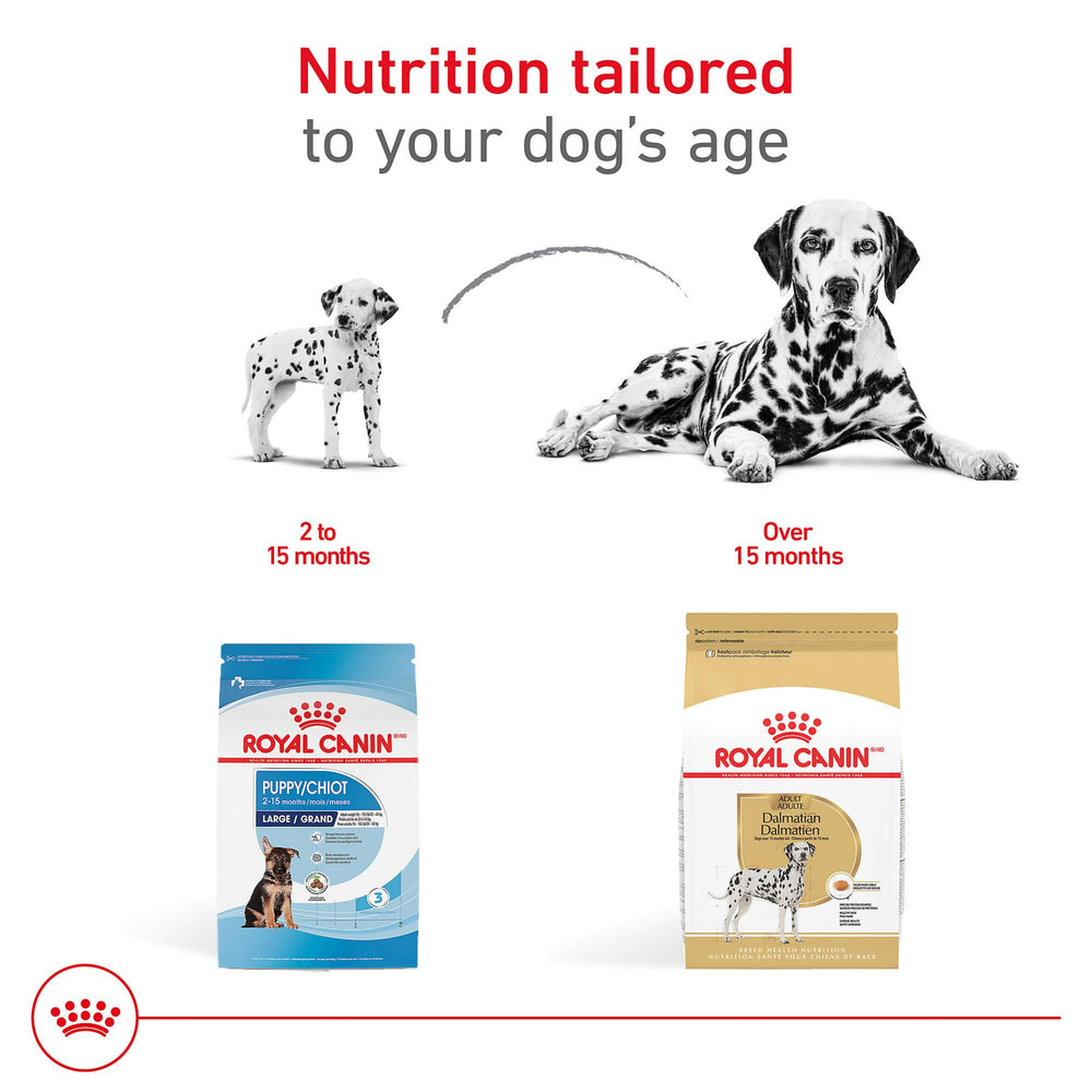Royal Canin Dalmatian formula emphasizes skin and coat support.