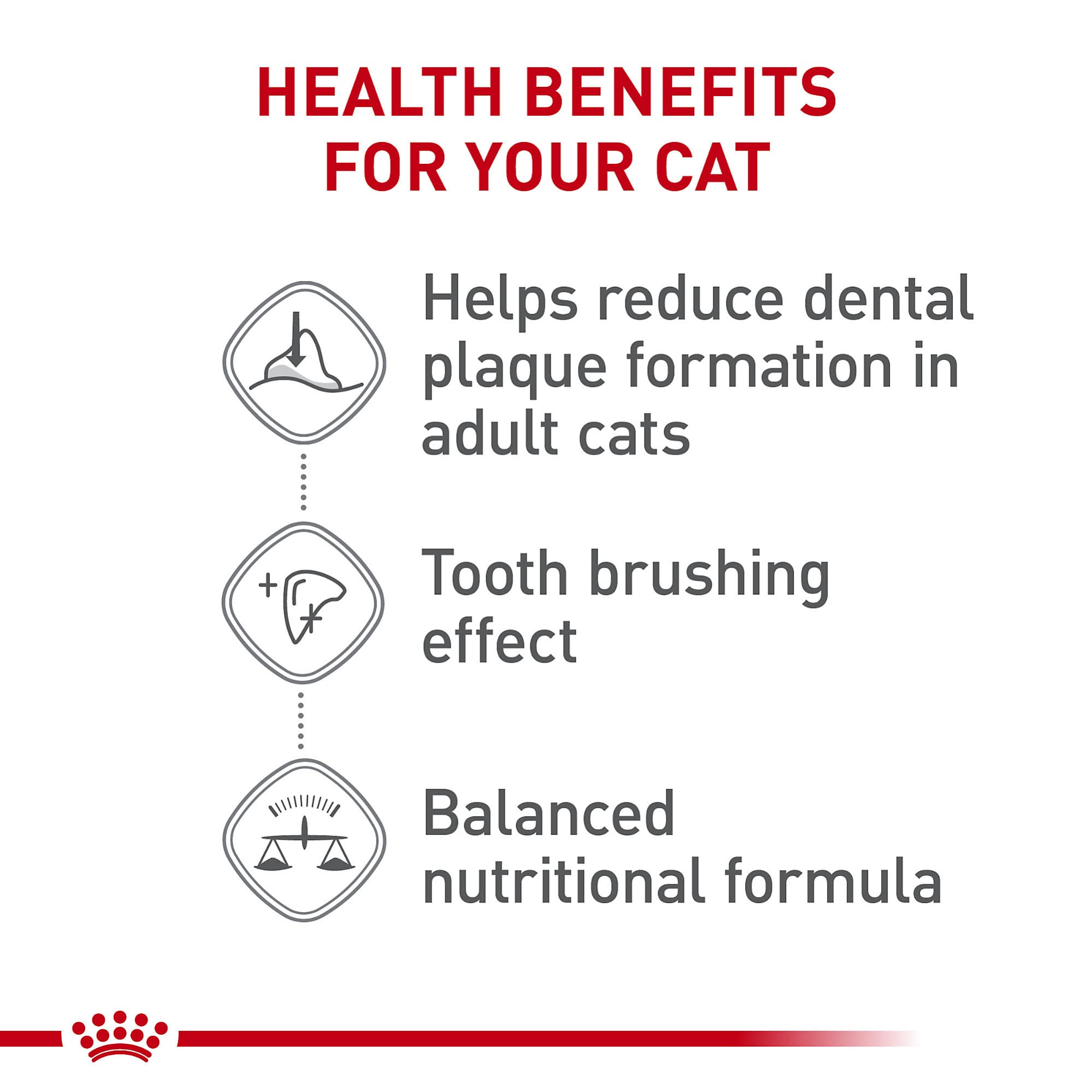 Kibble in a bowl demonstrates balanced nutrition for adults with dental care.