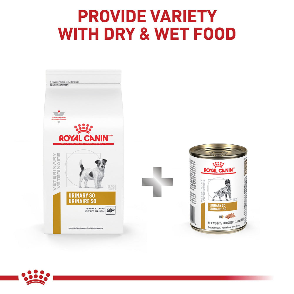 Royal Canin dental kibble detail demonstrates bite-sized pieces supporting tartar management.