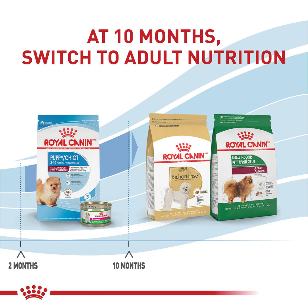 Royal Canin DHA for brain development and healthy coat