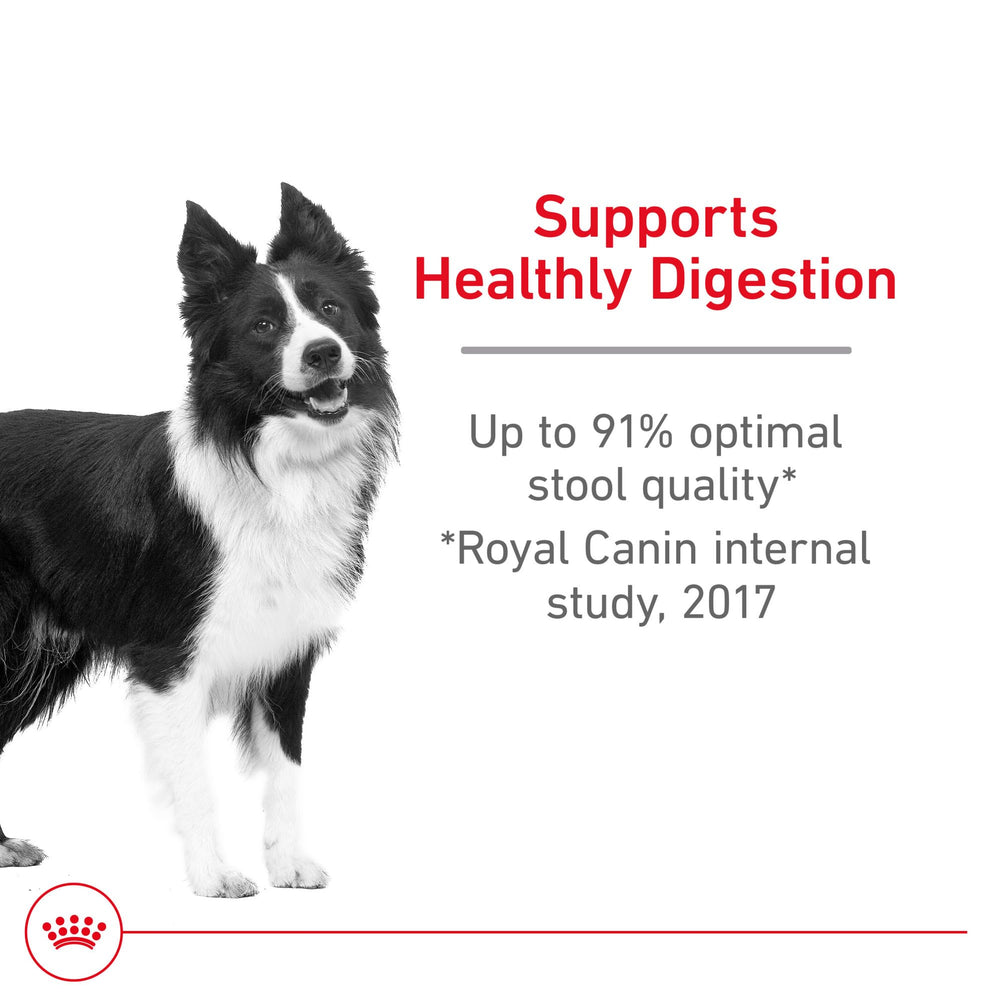 Royal Canin Digestive Care kibble closeup emphasizes texture designed for easy digestion.