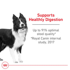 Royal Canin Digestive Care kibble closeup emphasizes texture designed for easy digestion.
