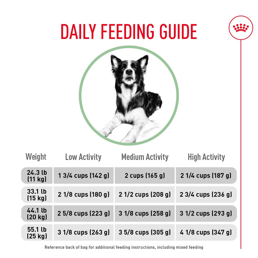 Royal Canin Digestive Care ingredients closeup highlights prebiotics and fibers.