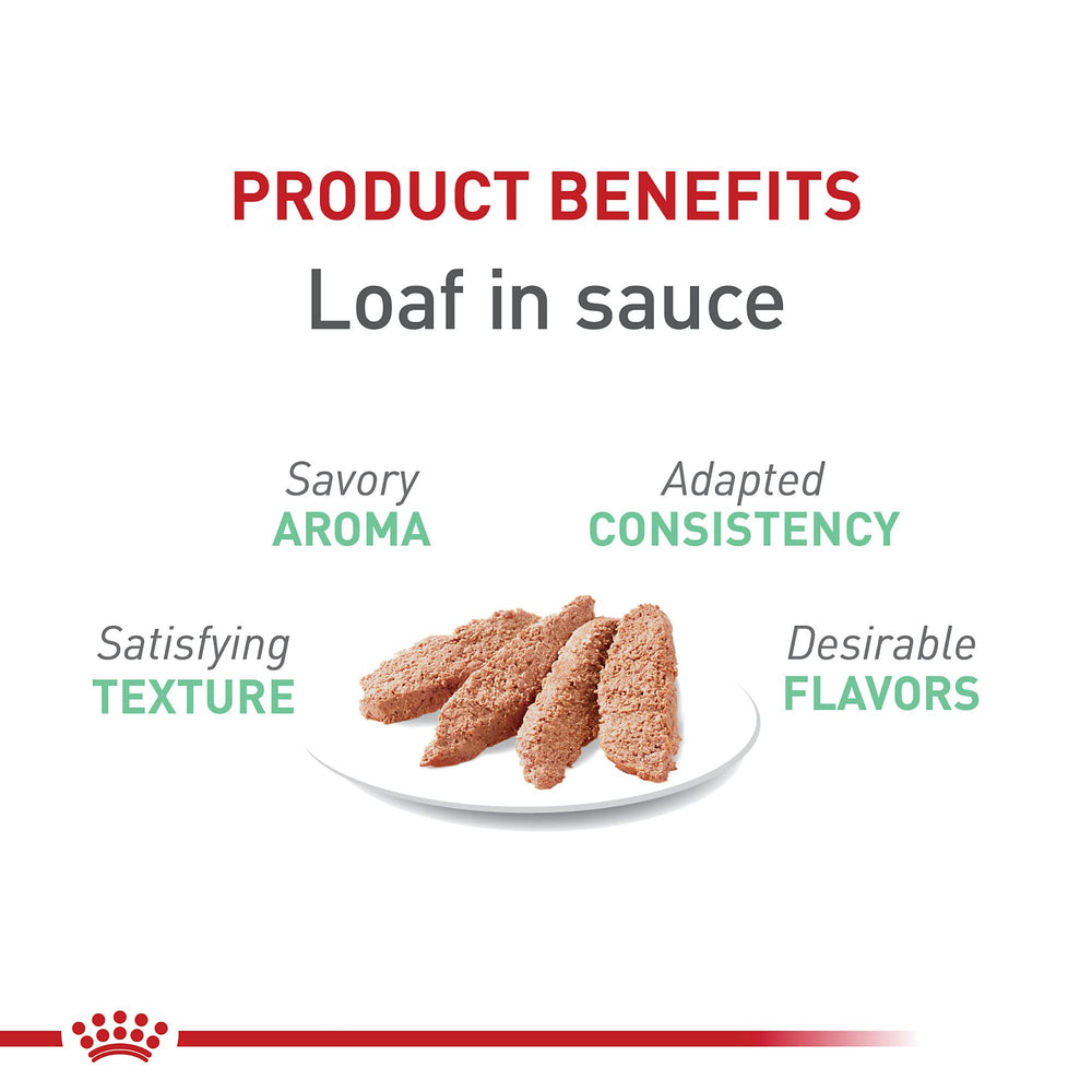Close-up of Royal Canin Digestive Care packaging showing product details.
