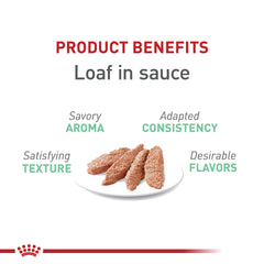 Close-up of Royal Canin Digestive Care packaging showing product details.