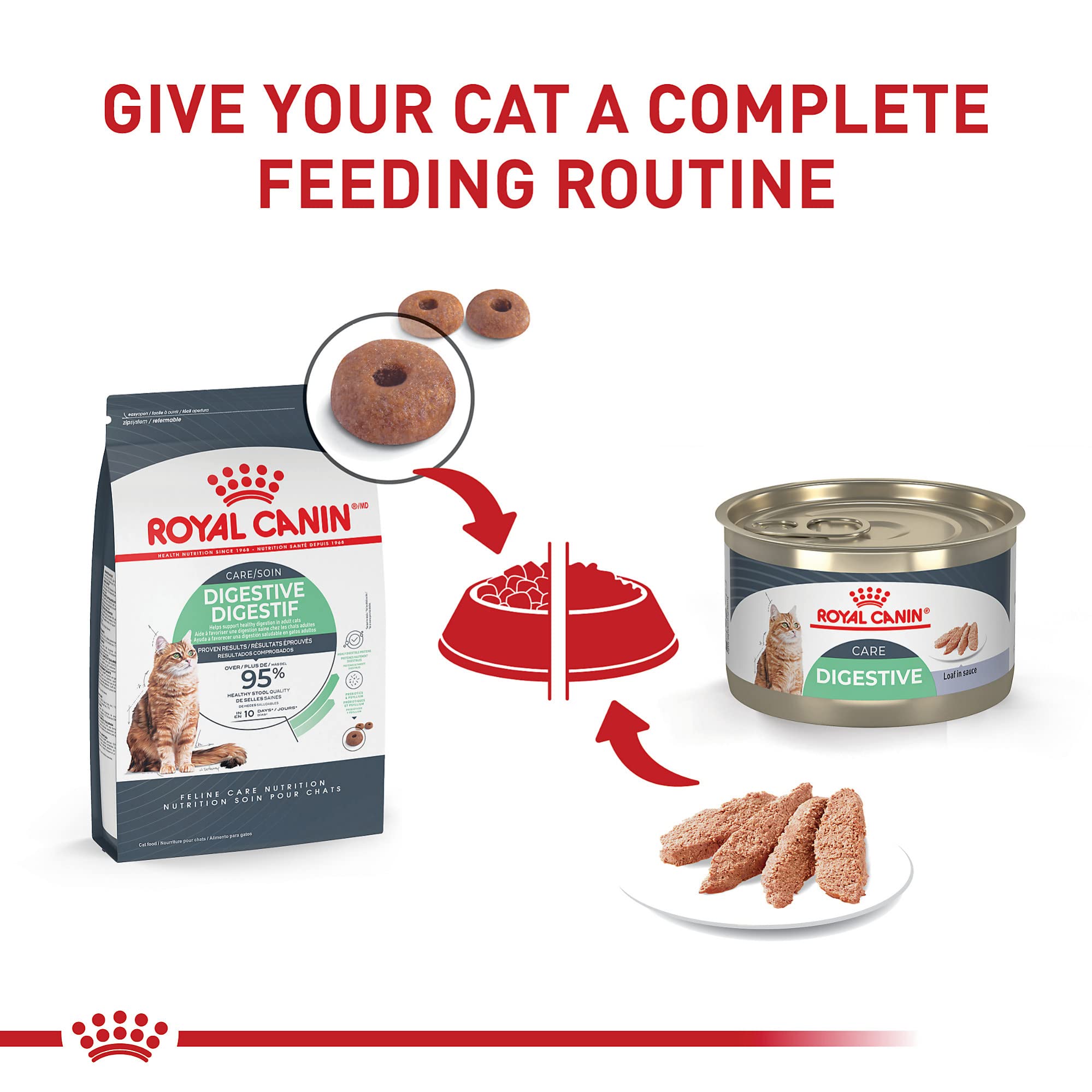 ROYAL CANIN Digestive Care dish paired with dry food offers a complete meal.