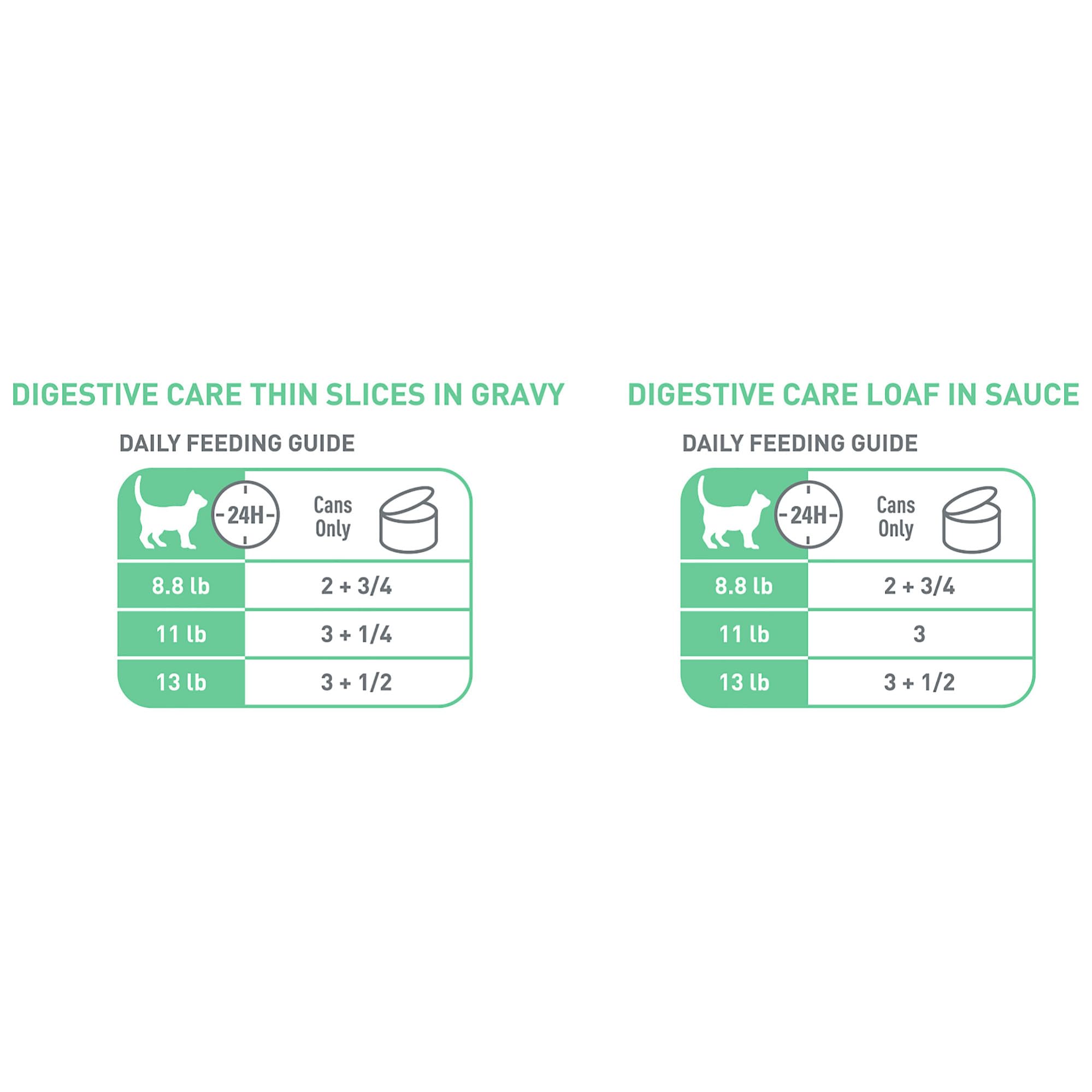 Serving bowl with Loaf in Sauce from Royal Canin