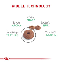 Serving bowl with Digestive Care kibble ready to serve.