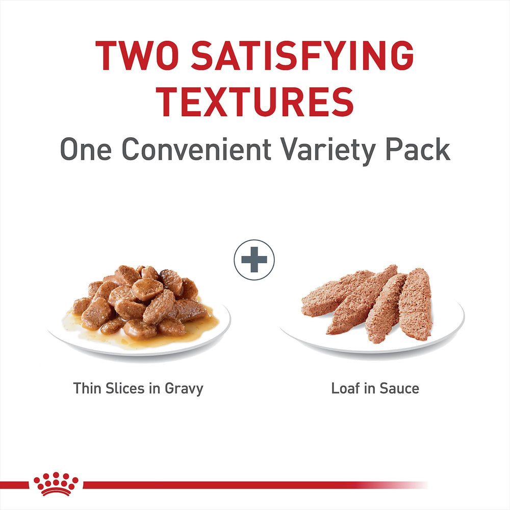 Royal Canin Digestive Care Thin Slices in Gravy 3 oz can supports hydration