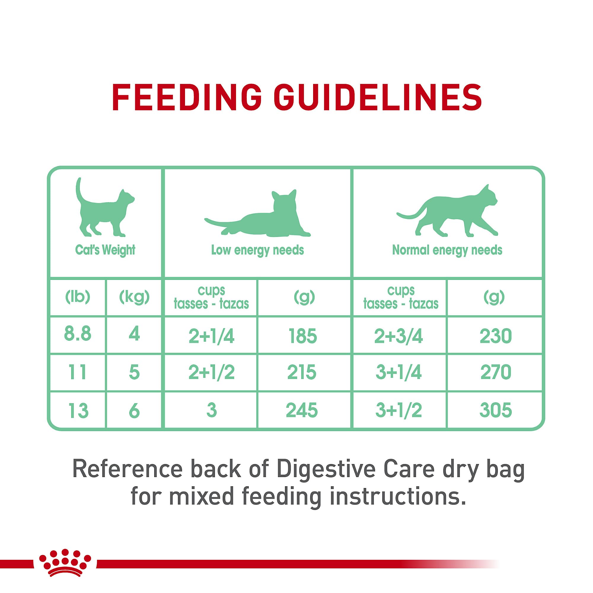 Feeding time with Royal Canin Digestive Care wet food for adult cats