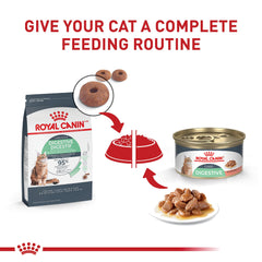 Closeup of Royal Canin Digestive Care gravy slices highlighting texture and appeal