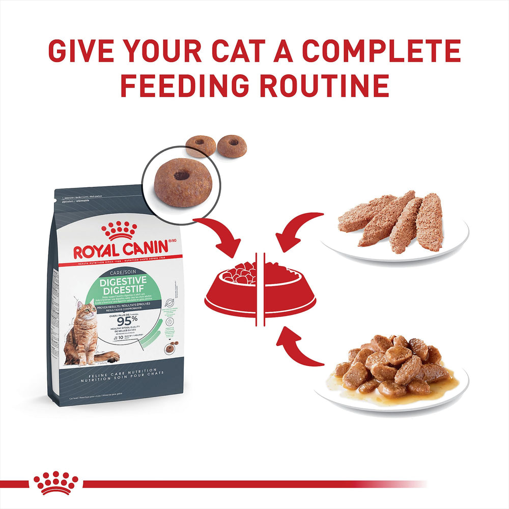 Loaf in Sauce texture close-up from Royal Canin pack