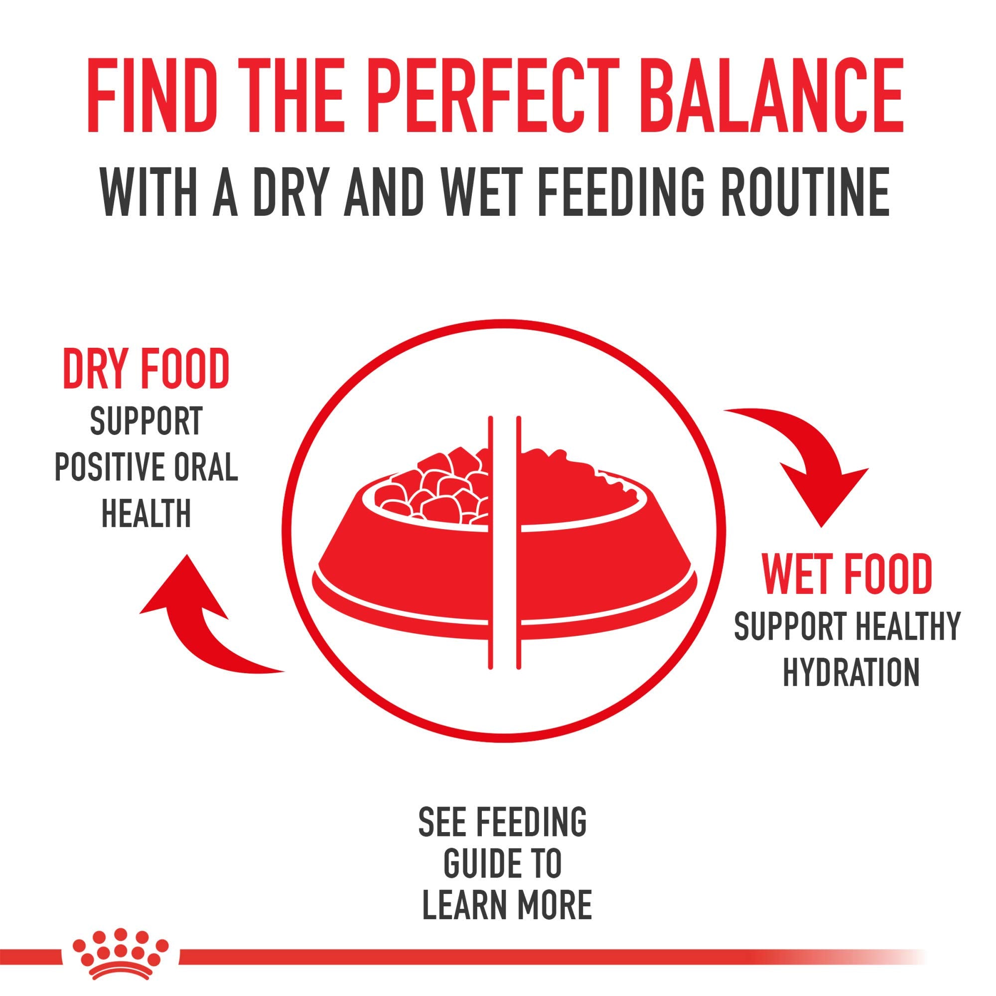 Royal Canin digestive health image featuring digestible proteins and fiber blend