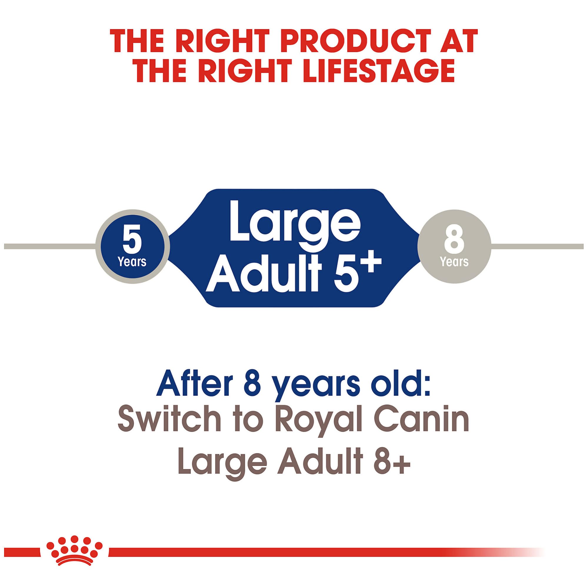 Royal Canin digestive health closeup showing fibers and prebiotics aiding digestion