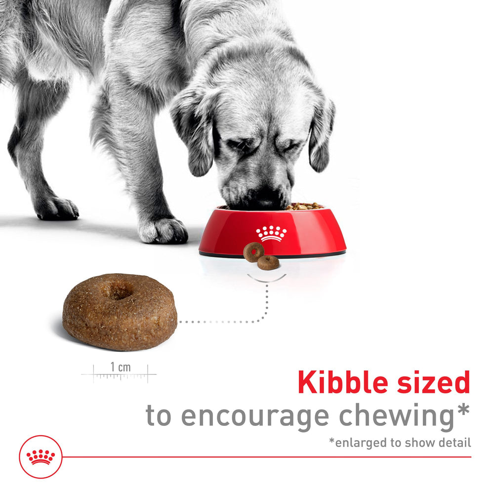 Royal Canin digestive health kibble aids easy digestion in large dogs.