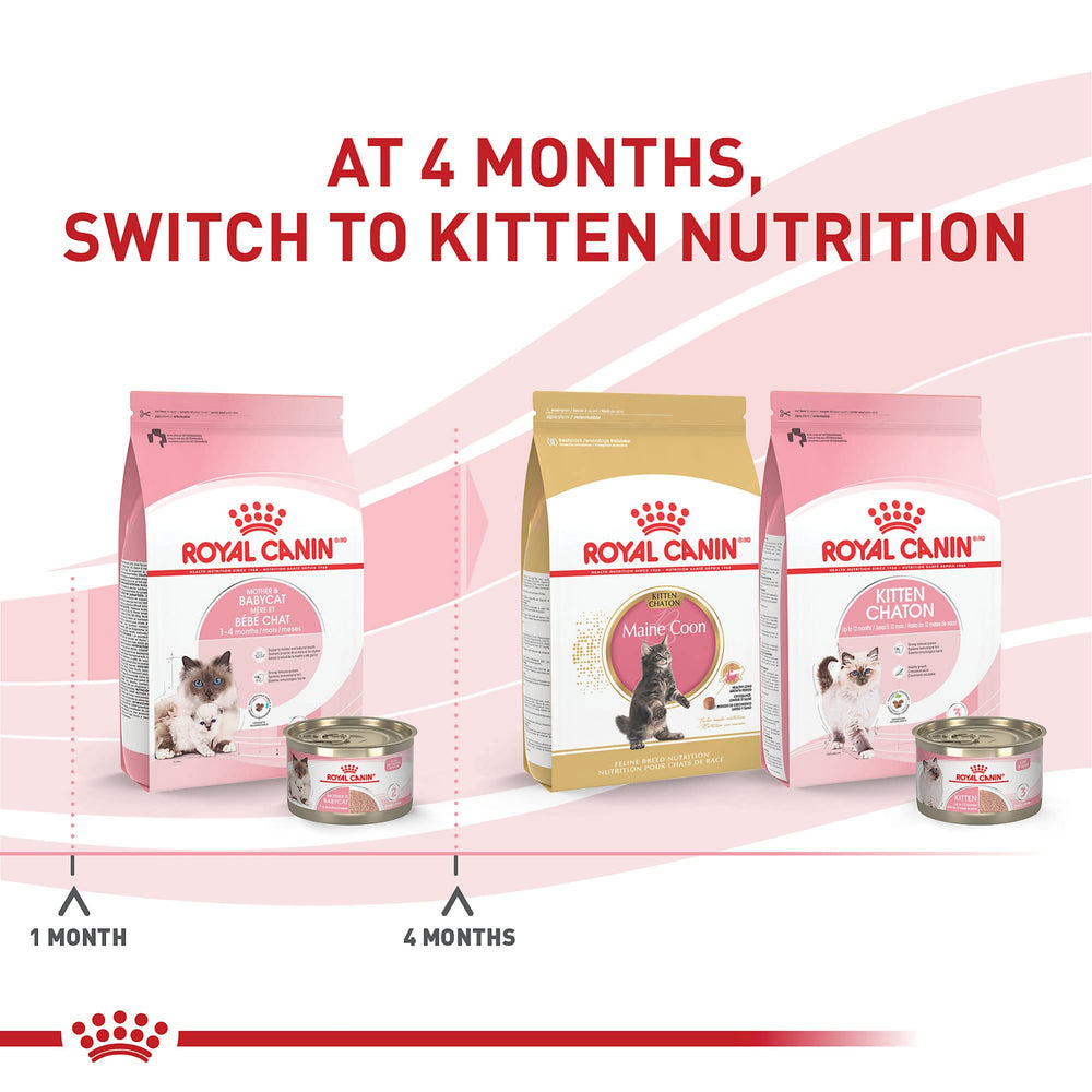 Digestive health with prebiotics and proteins in Royal Canin formula